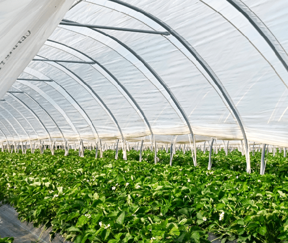 Industrial Covers and dividers