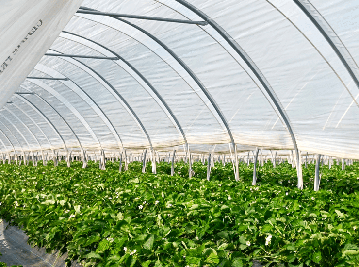 Industrial Dividers & Covers